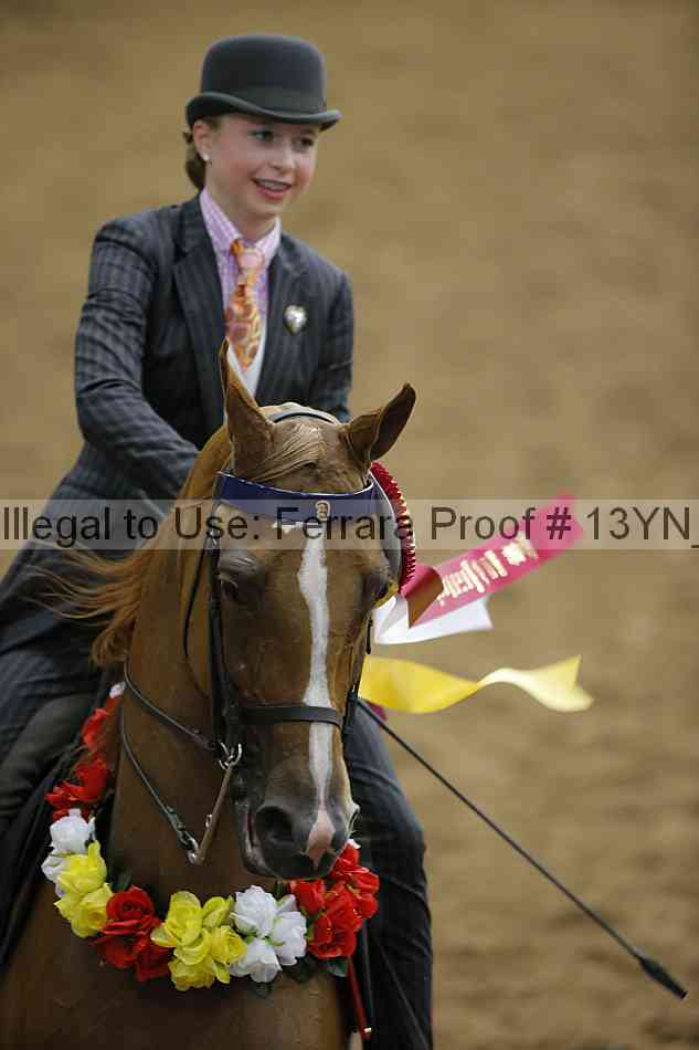 Proof 13yn_20473