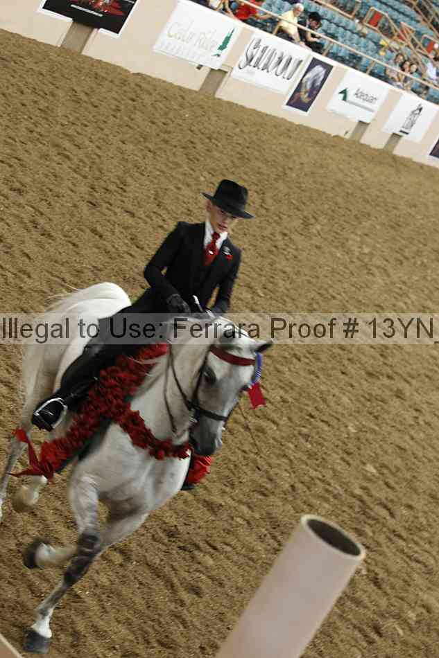 Proof 13yn_20482