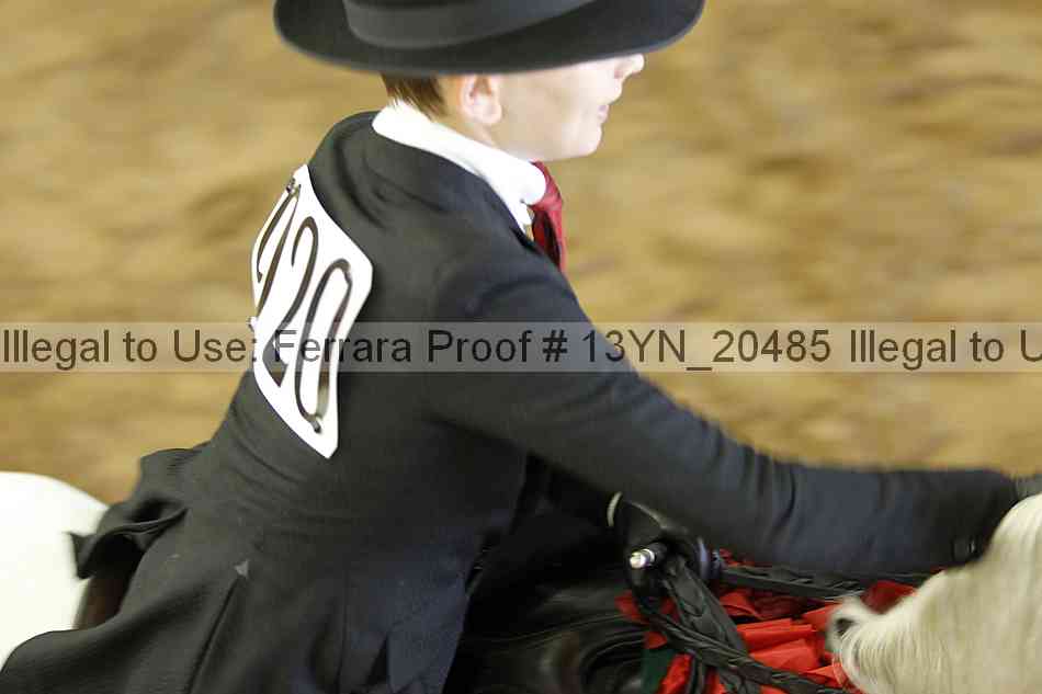 Proof 13yn_20485