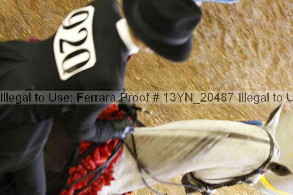 Proof 13yn_20487