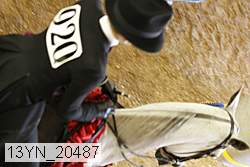 13yn_20487 proof