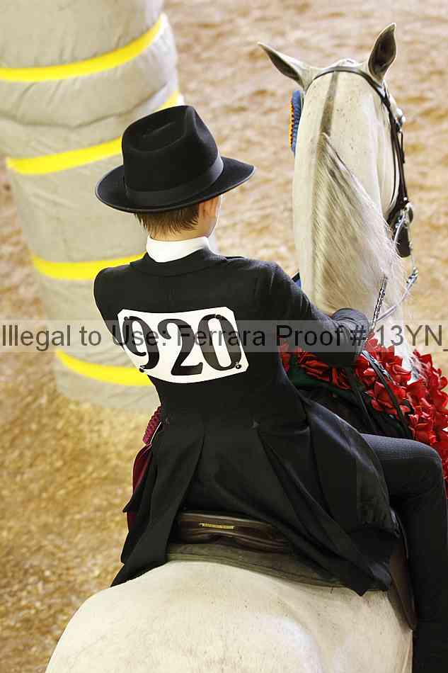 Proof 13yn_20488
