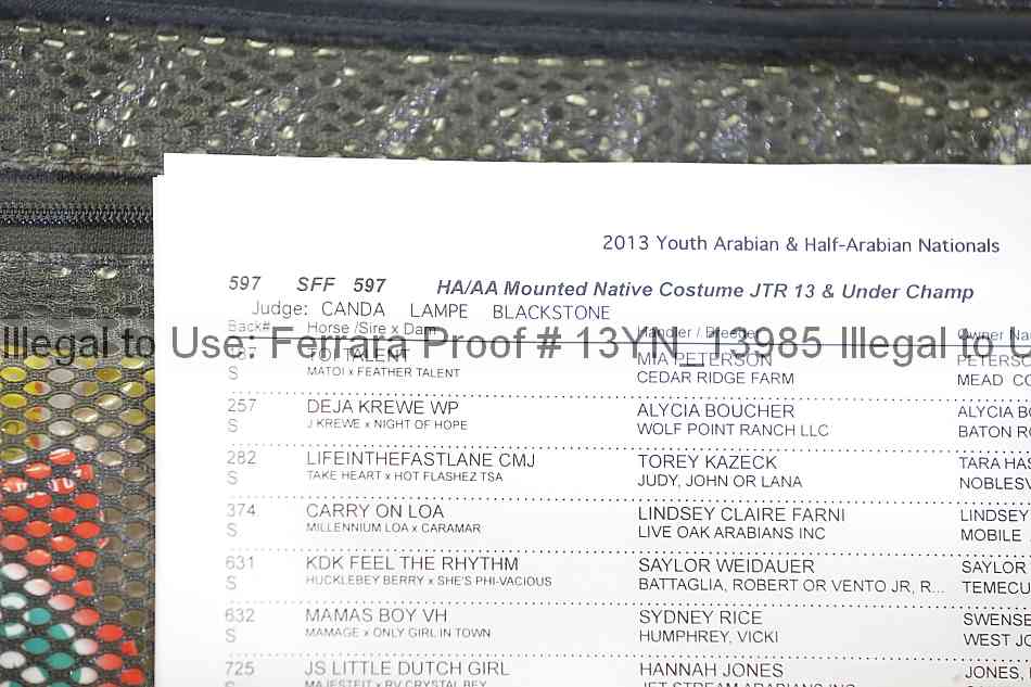 Proof 13yn_13985