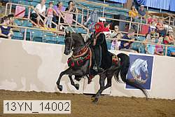 13yn_14002 proof