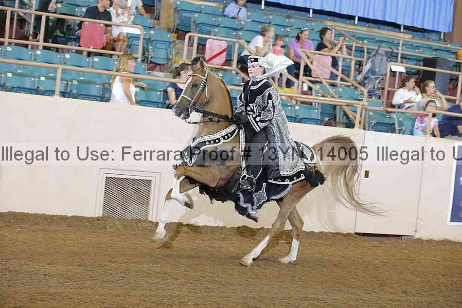 Proof 13yn_14005
