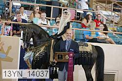 13yn_14037 proof