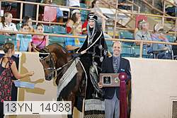 13yn_14038 proof