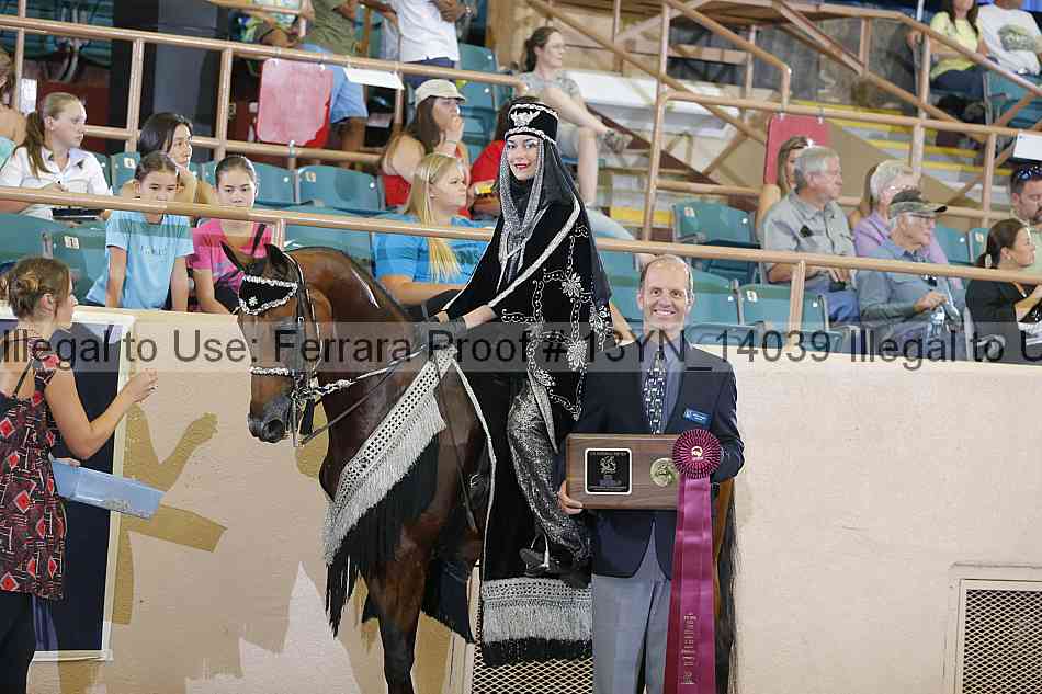 Proof 13yn_14039
