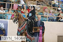 13yn_14044 proof