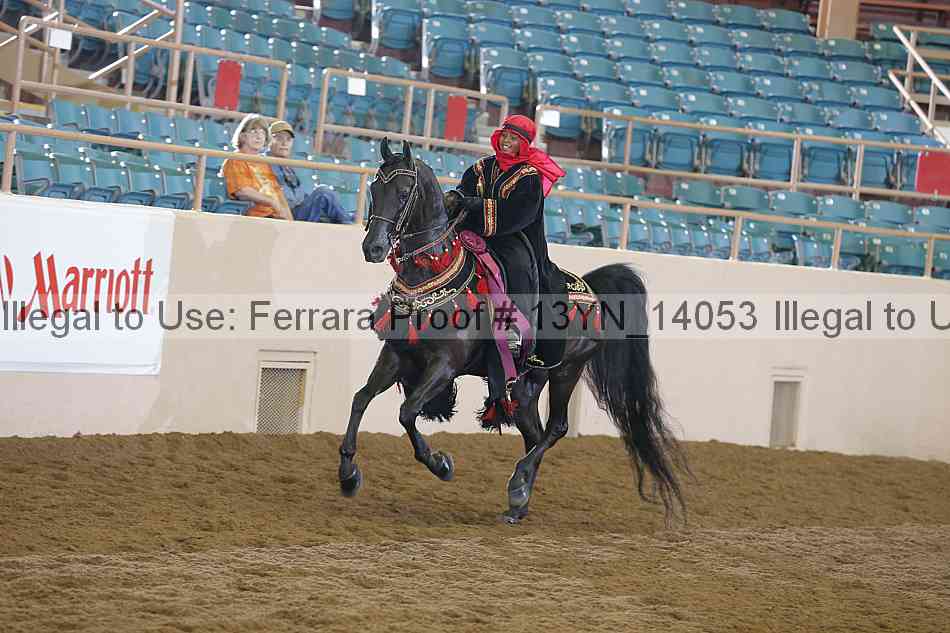 Proof 13yn_14053