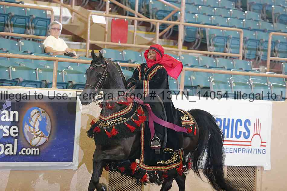 Proof 13yn_14054