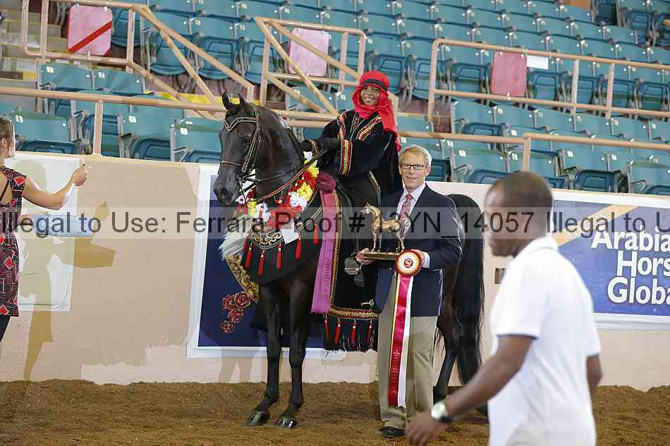 Proof 13yn_14057