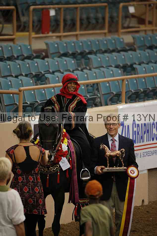 Proof 13yn_14059