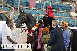 13yn_14064 proof
