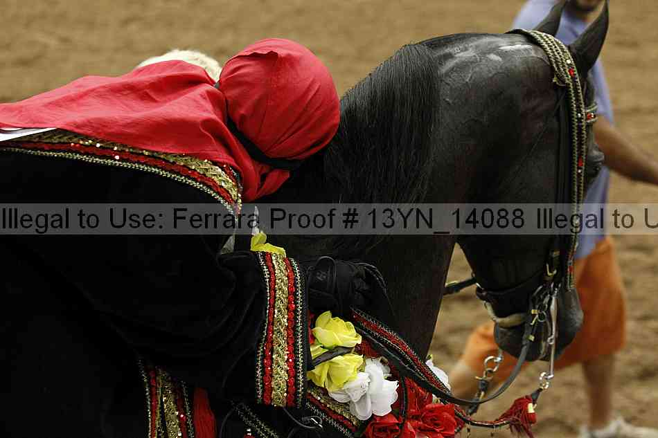 Proof 13yn_14088