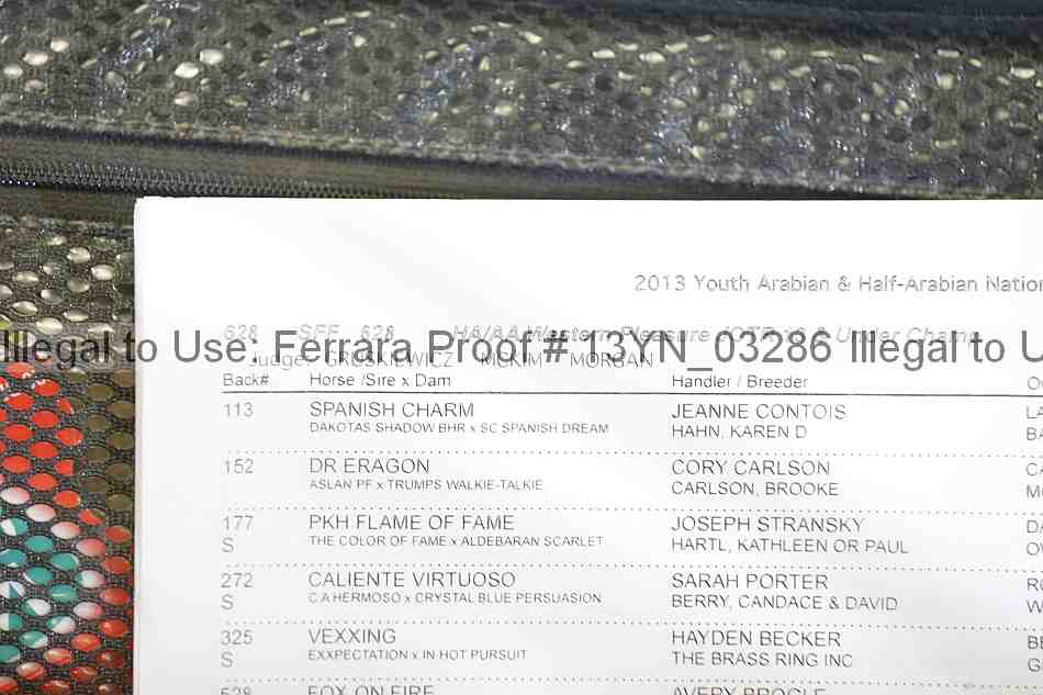 Proof 13yn_03286