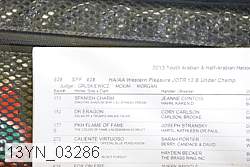 13yn_03286 proof