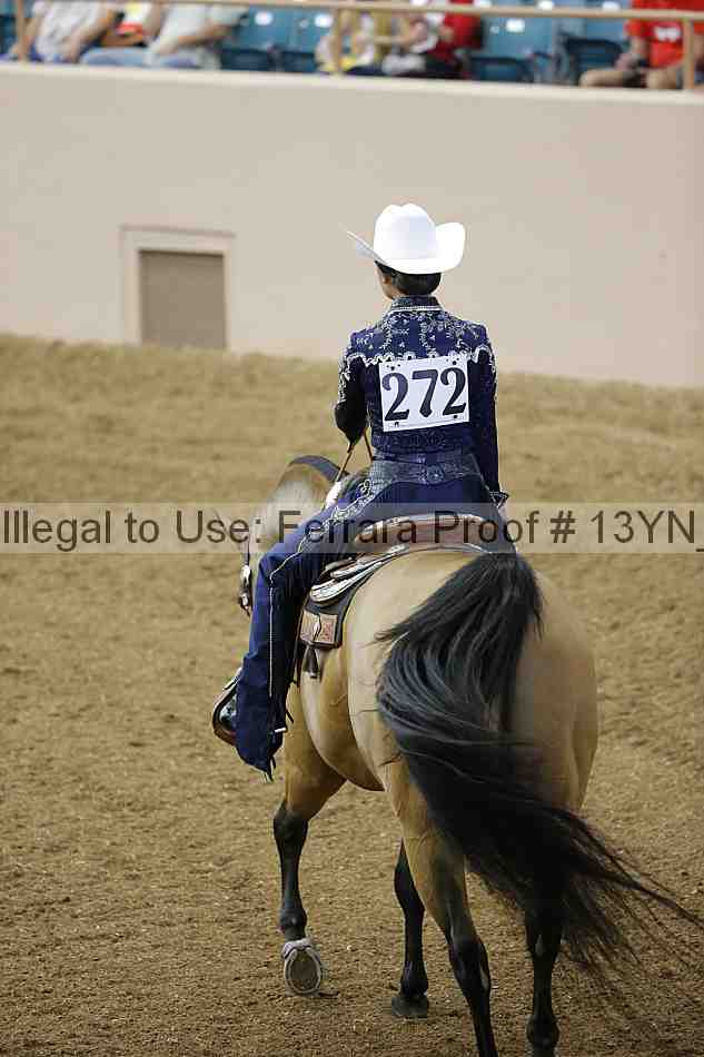 Proof 13yn_03291