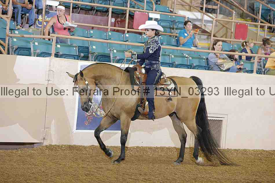 Proof 13yn_03293