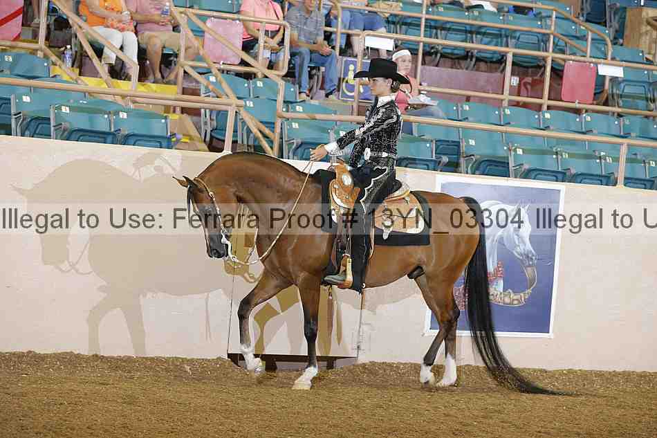 Proof 13yn_03304
