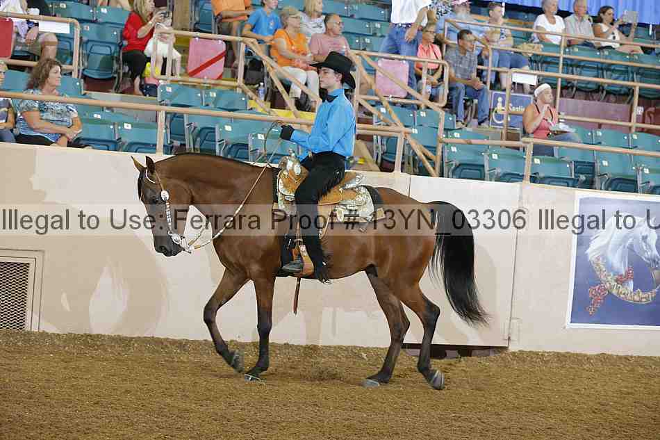 Proof 13yn_03306