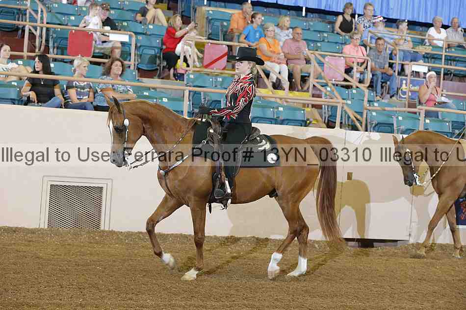 Proof 13yn_03310