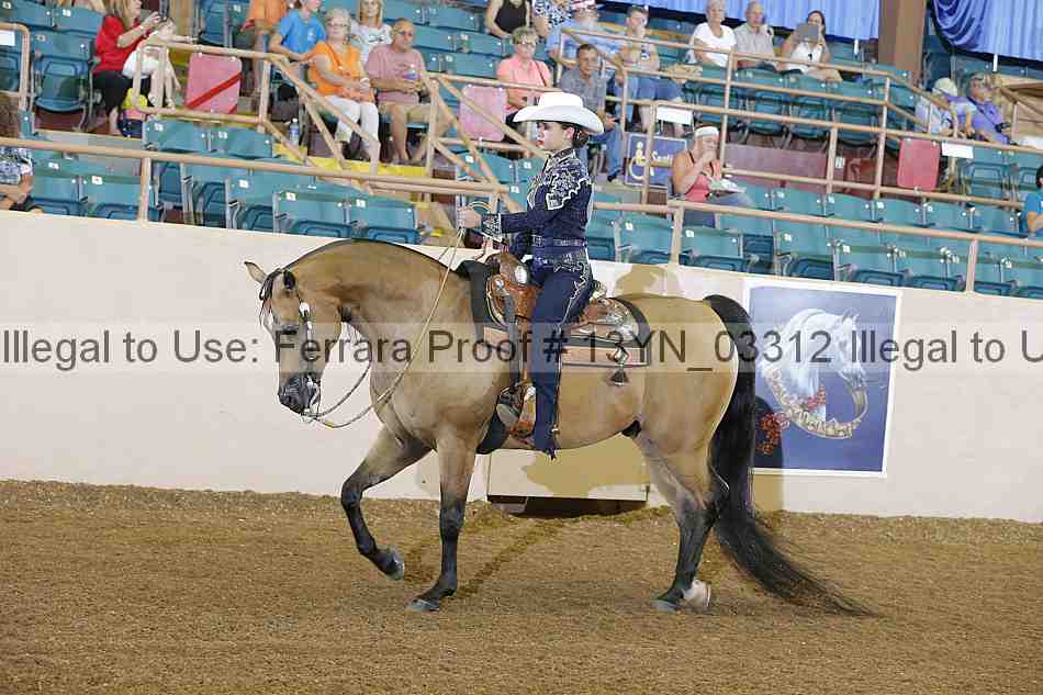 Proof 13yn_03312