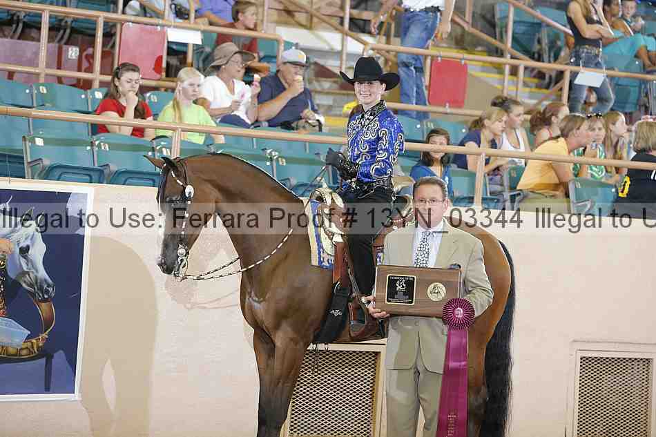 Proof 13yn_03344