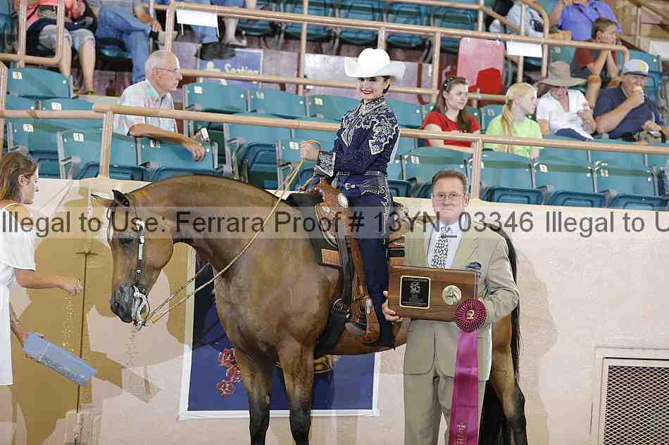 Proof 13yn_03346