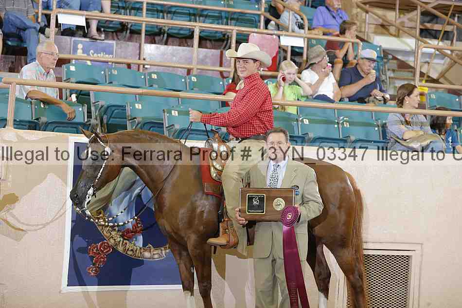 Proof 13yn_03347