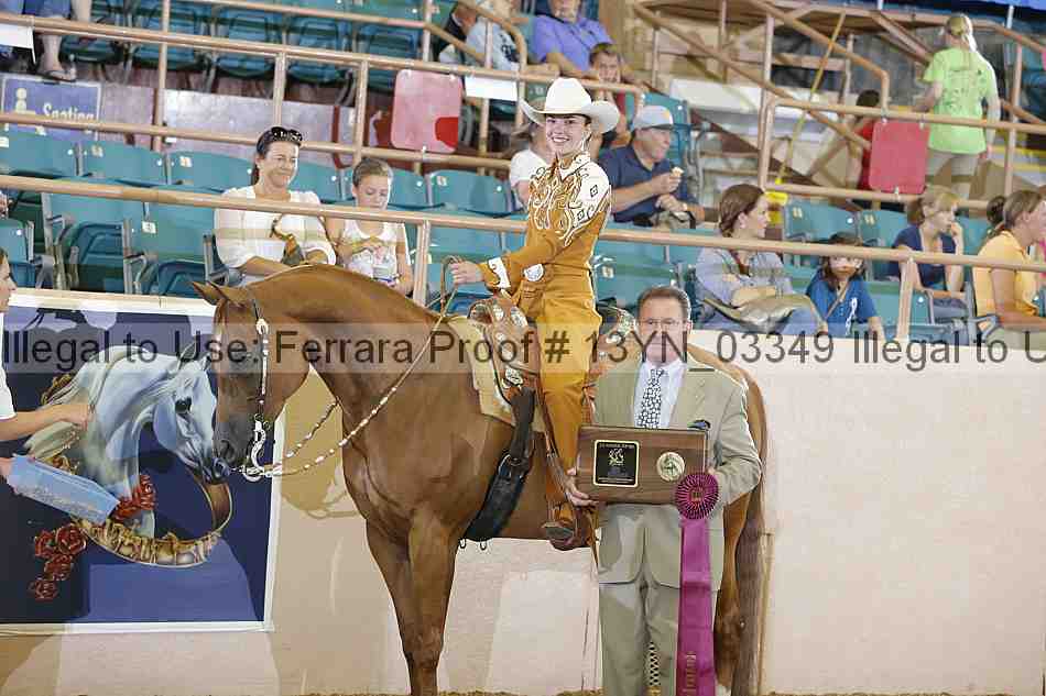 Proof 13yn_03349
