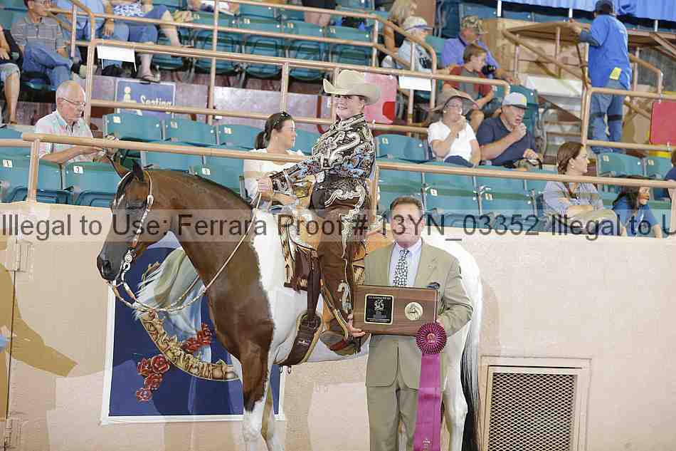 Proof 13yn_03352
