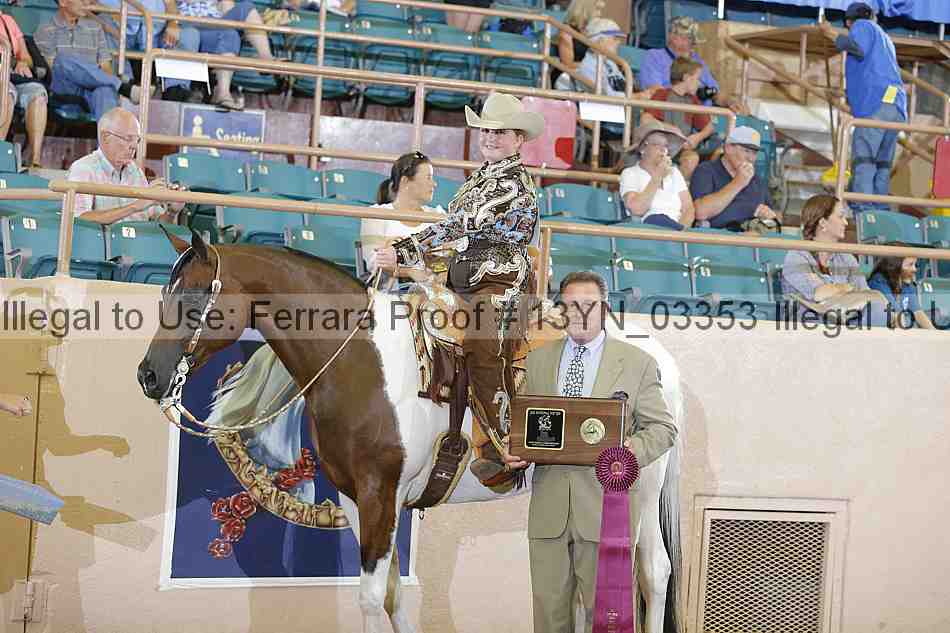Proof 13yn_03353