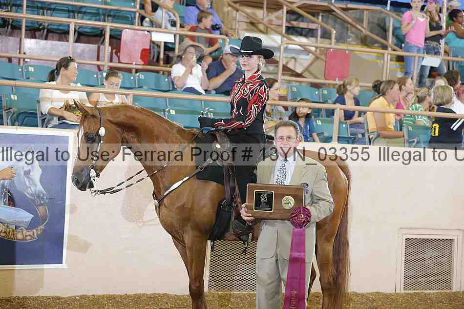 Proof 13yn_03355
