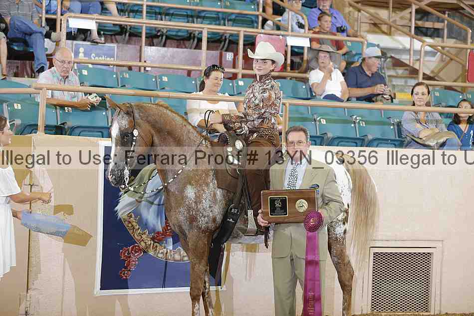 Proof 13yn_03356
