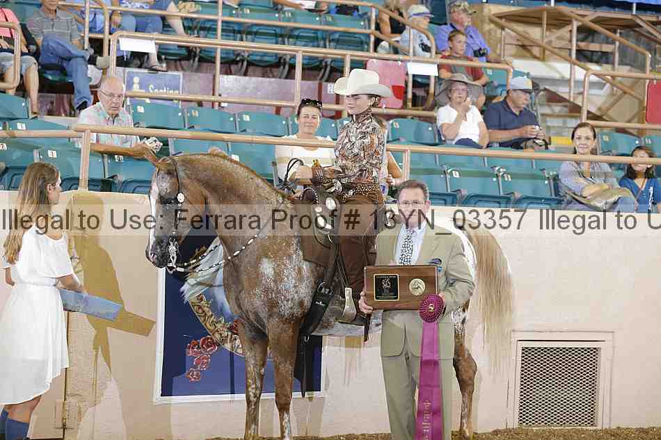 Proof 13yn_03357