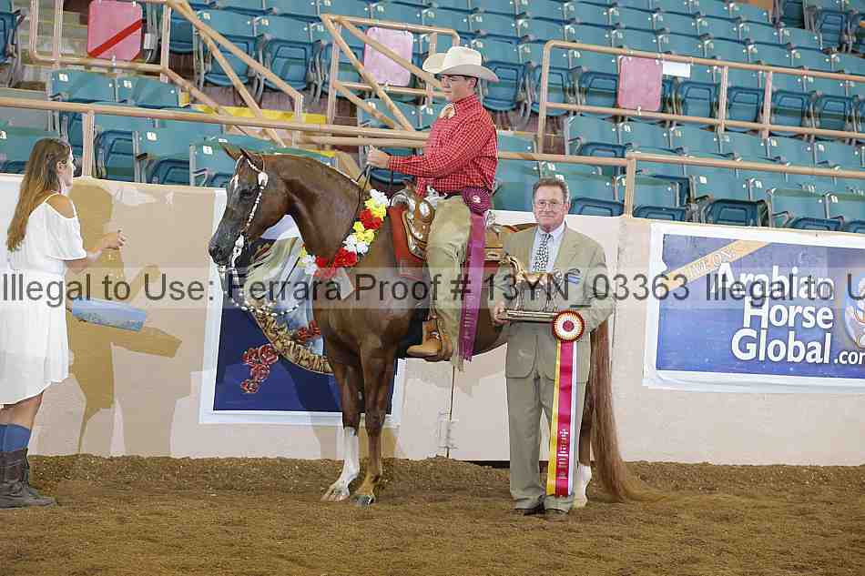 Proof 13yn_03363