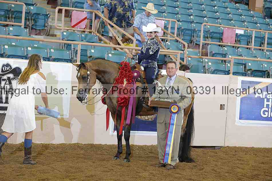 Proof 13yn_03391