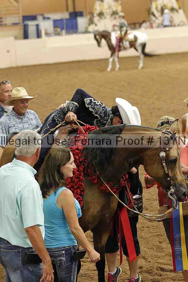 Proof 13yn_03401
