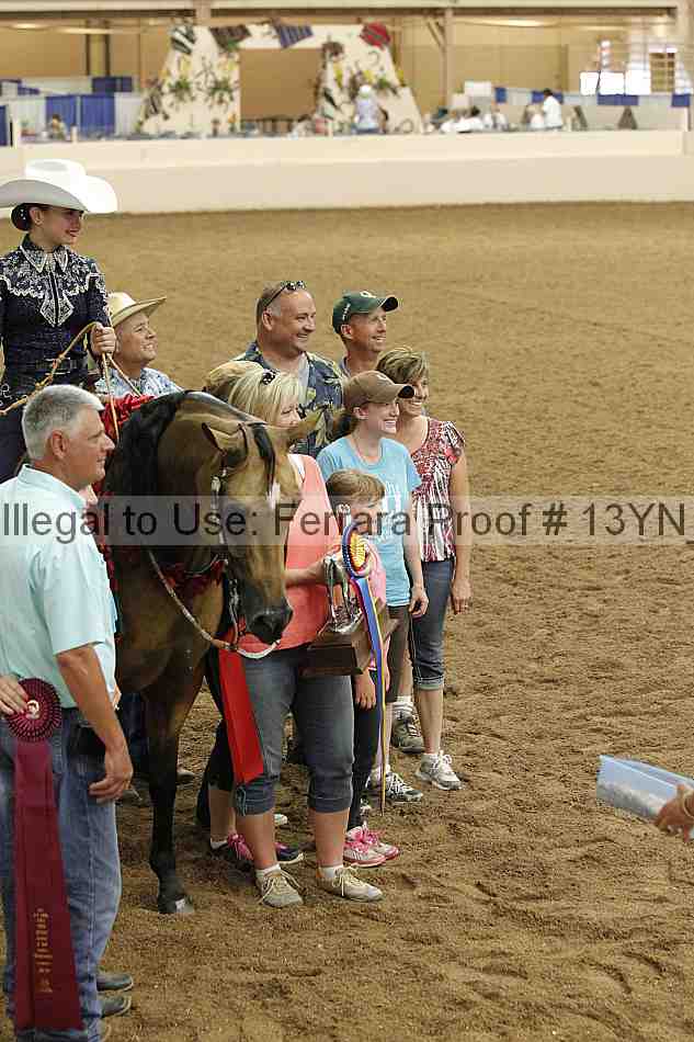 Proof 13yn_03407