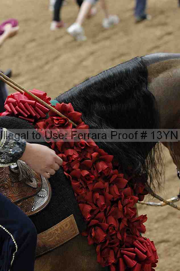 Proof 13yn_03416