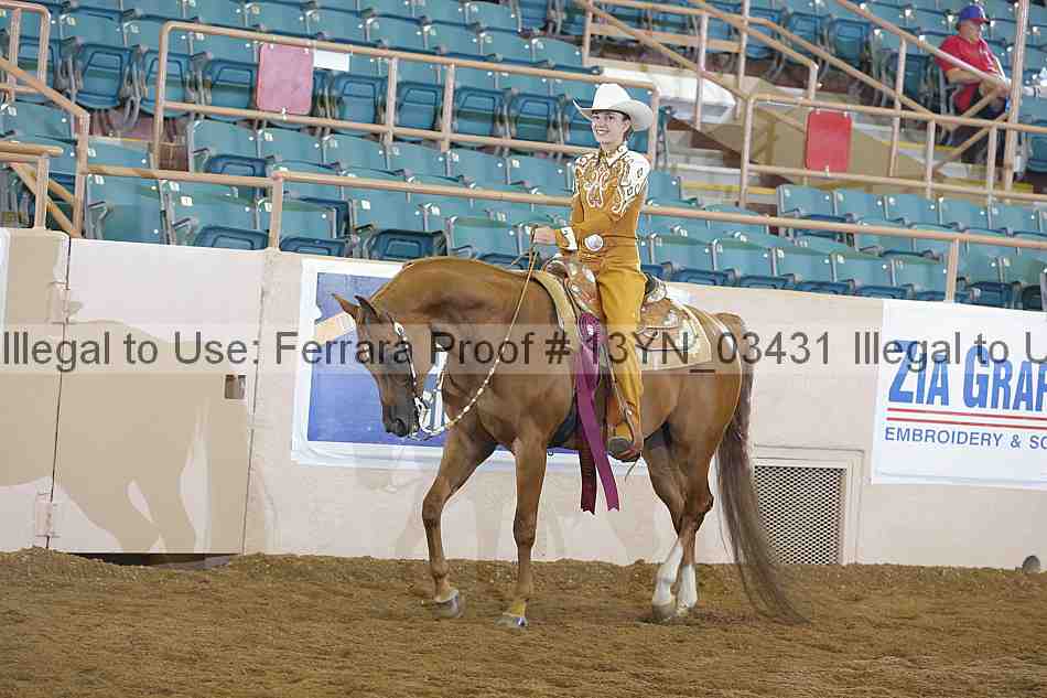 Proof 13yn_03431