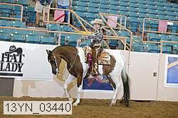 13yn_03440 proof