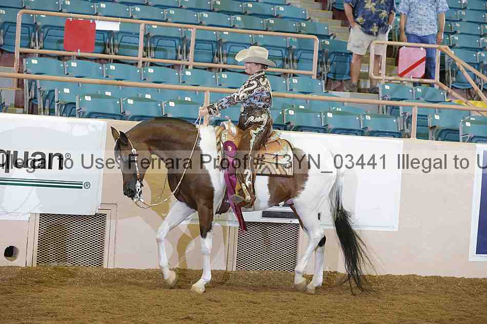 Proof 13yn_03441