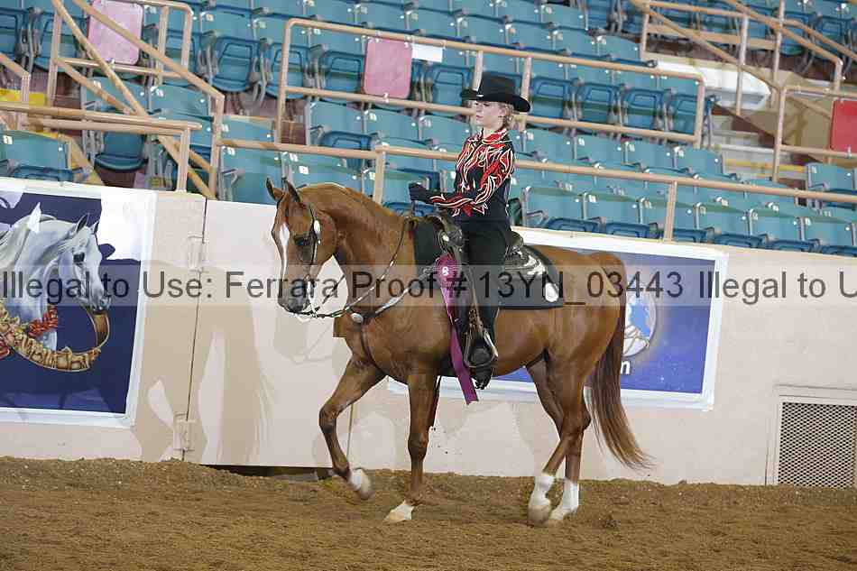 Proof 13yn_03443
