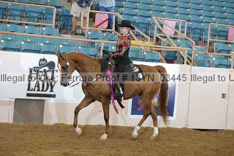 Proof 13yn_03445