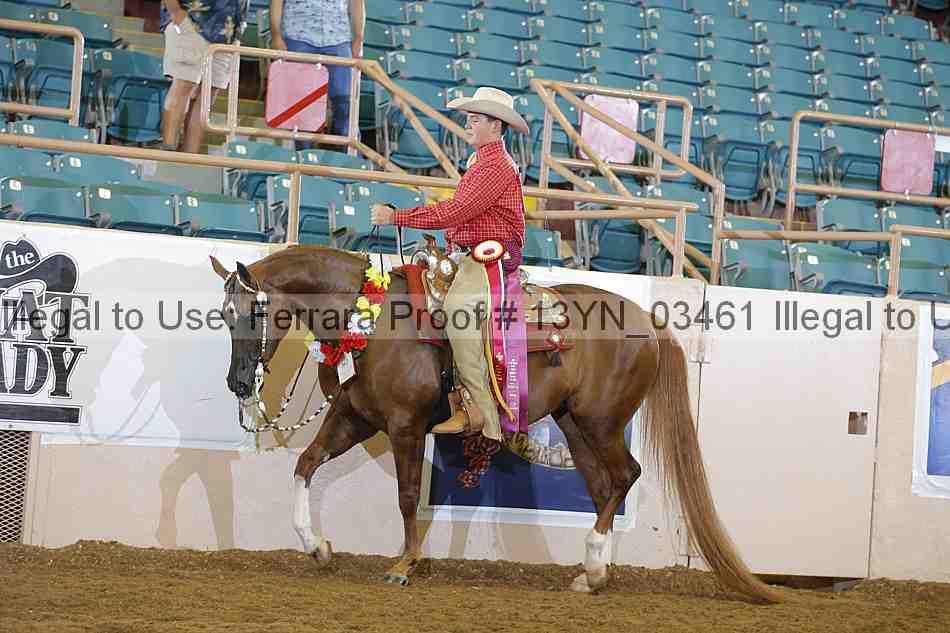 Proof 13yn_03461