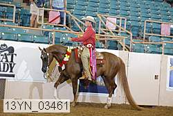13yn_03461 proof