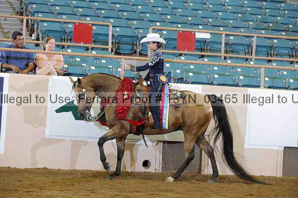 Proof 13yn_03465