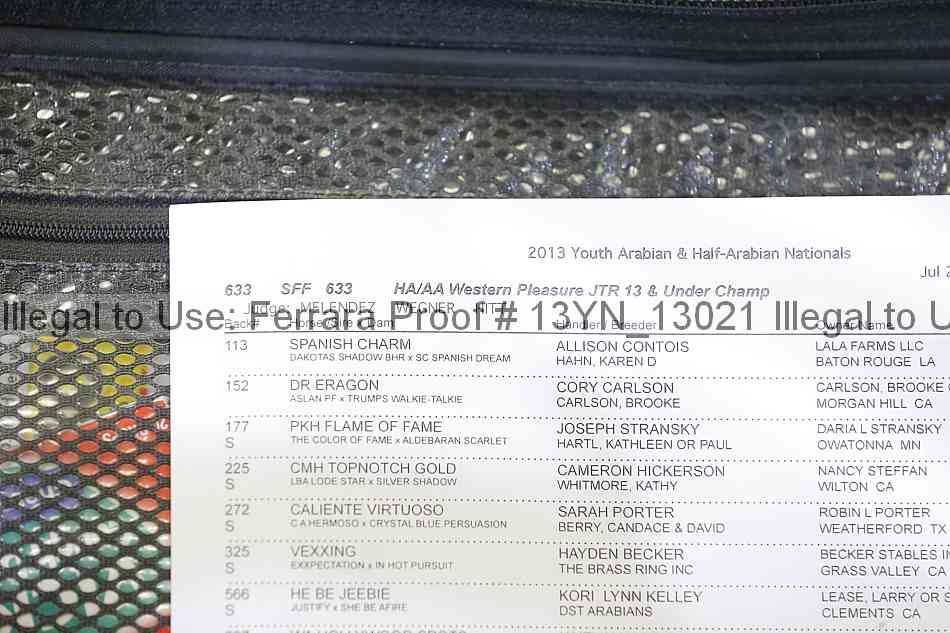 Proof 13yn_13021